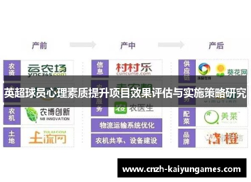 英超球员心理素质提升项目效果评估与实施策略研究